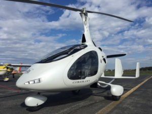 Sales Information 13 Oryx White VW