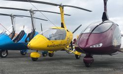 calidus 23 09e37fd8 AutoGyro